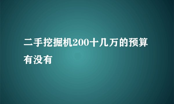 二手挖掘机200十几万的预算有没有
