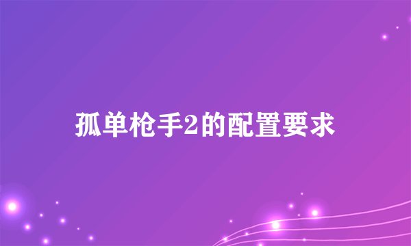 孤单枪手2的配置要求