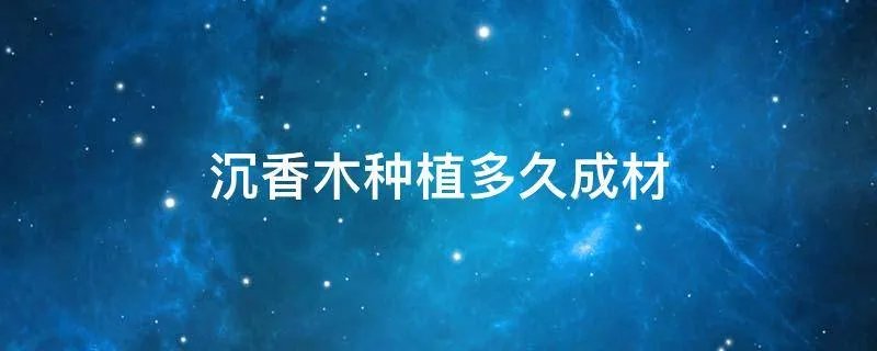 沉香木种植多久成材