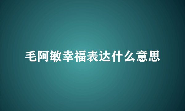 毛阿敏幸福表达什么意思