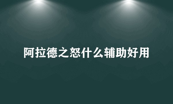 阿拉德之怒什么辅助好用