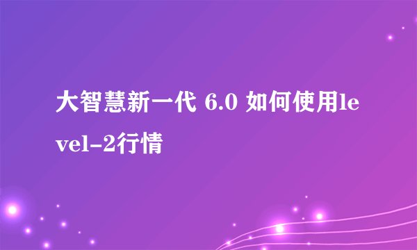 大智慧新一代 6.0 如何使用level-2行情
