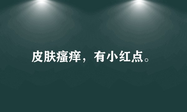 皮肤瘙痒，有小红点。