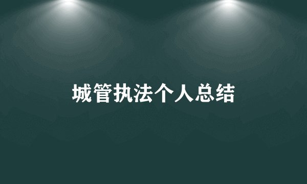 城管执法个人总结