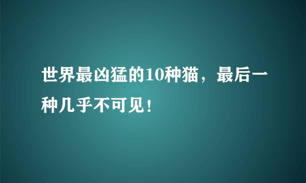 世界最凶猛的10种猫，最后一种几乎不可见！