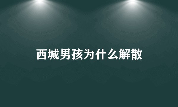西城男孩为什么解散