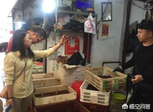 2018年武汉的小龙虾价格怎么样?