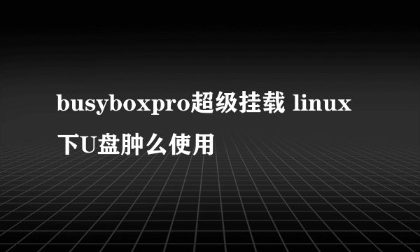 busyboxpro超级挂载 linux下U盘肿么使用