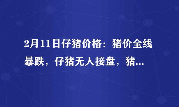 2月11日仔猪价格：猪价全线暴跌，仔猪无人接盘，猪市“崩盘”？