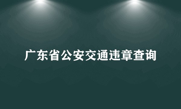 广东省公安交通违章查询