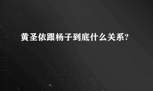 黄圣依跟杨子到底什么关系?