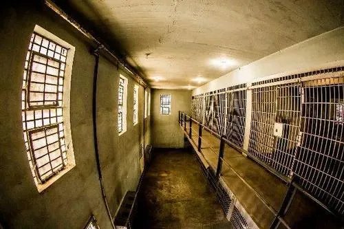 纽约州四所监狱成新冠病毒滋生地,为何监狱疫情高发?