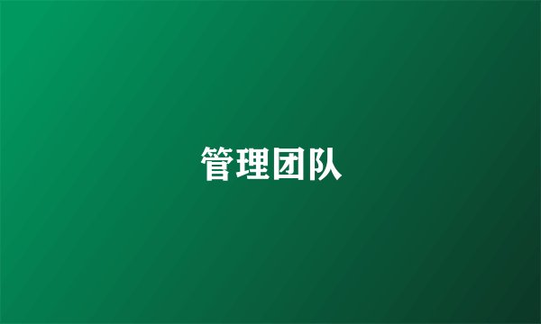 管理团队