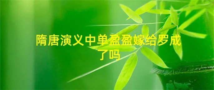 隋唐演义中单盈盈嫁给罗成了吗