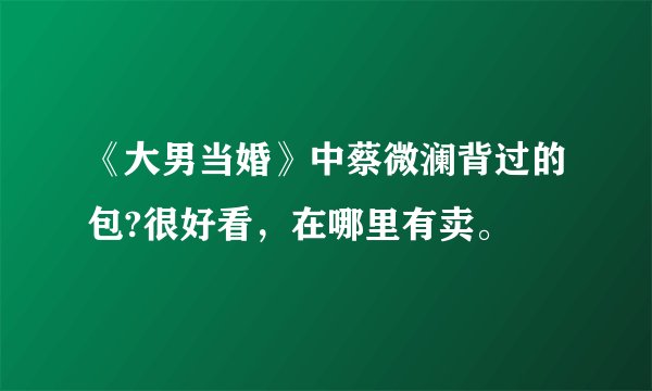 《大男当婚》中蔡微澜背过的包?很好看，在哪里有卖。