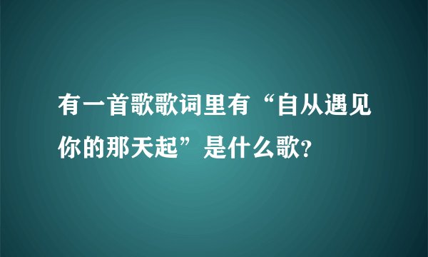有一首歌歌词里有“自从遇见你的那天起”是什么歌？