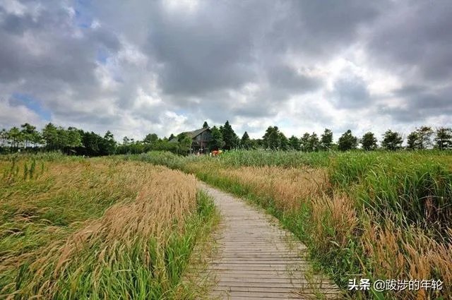 请问上海周边100公里左右自驾游有哪些景点推荐？