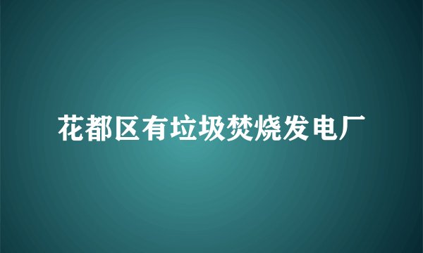 花都区有垃圾焚烧发电厂