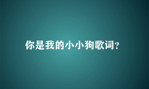 你是我的小小狗歌词？