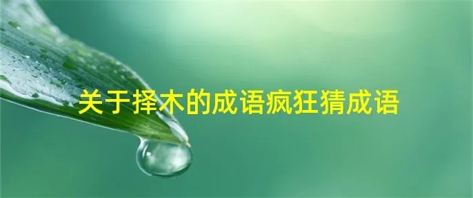 关于择木的成语疯狂猜成语