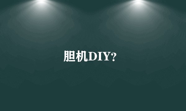 胆机DIY?