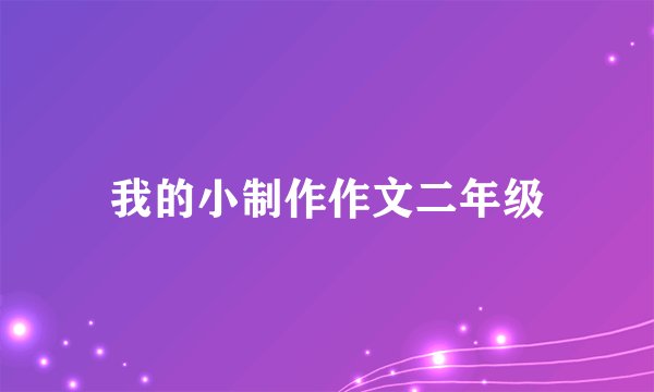 我的小制作作文二年级