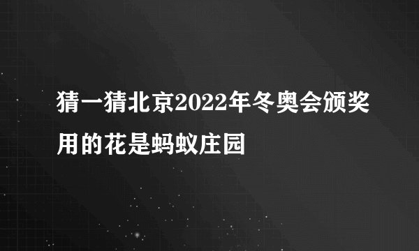 猜一猜北京2022年冬奥会颁奖用的花是蚂蚁庄园