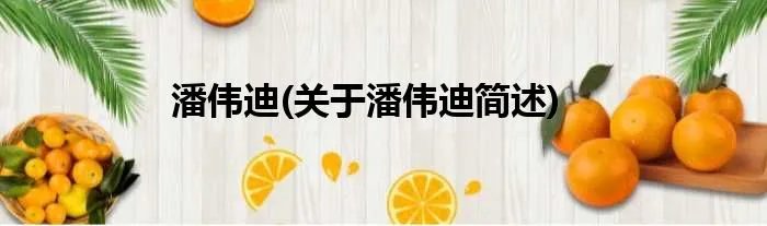 潘伟迪(关于潘伟迪简述)