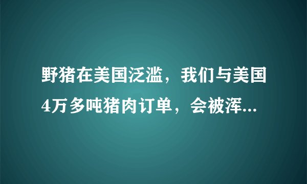 野猪在美国泛滥，我们与美国4万多吨猪肉订单，会被浑水摸鱼吗？