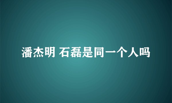 潘杰明 石磊是同一个人吗