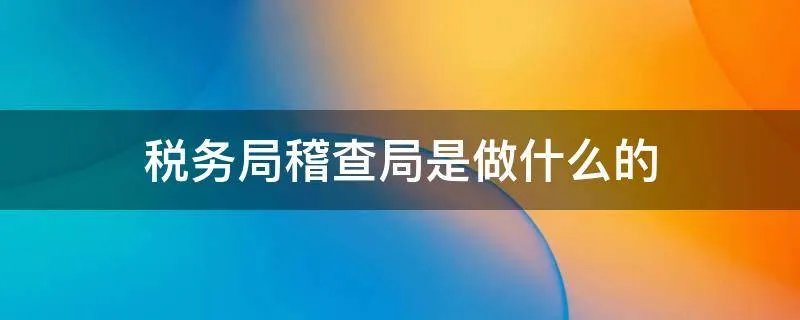 税务局稽查局是做什么的