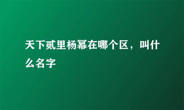 天下贰里杨幂在哪个区,叫什么名字