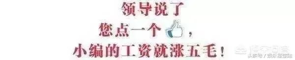 有多少人希望窦唯能重出江湖呢？