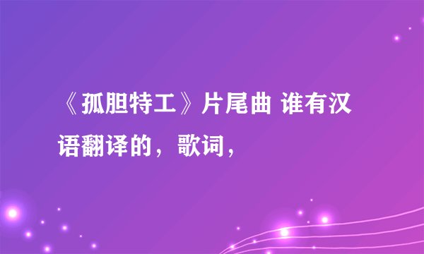 《孤胆特工》片尾曲 谁有汉语翻译的，歌词，
