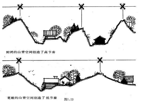 干货 | 庭院植物打造,营造十足空间感