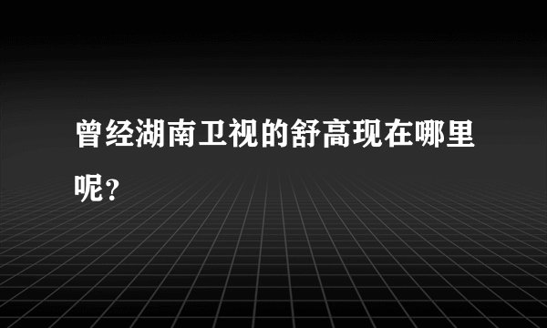 曾经湖南卫视的舒高现在哪里呢？