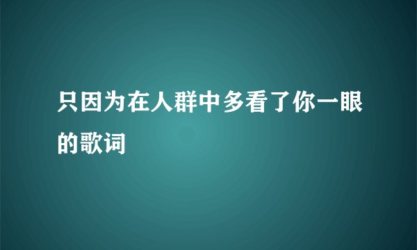 只因为在人群中多看了你一眼的歌词