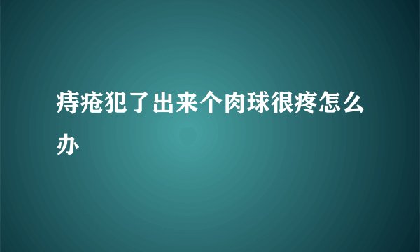 痔疮犯了出来个肉球很疼怎么办
