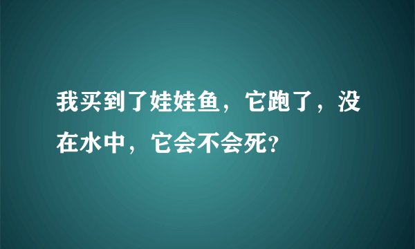 我买到了娃娃鱼，它跑了，没在水中，它会不会死？