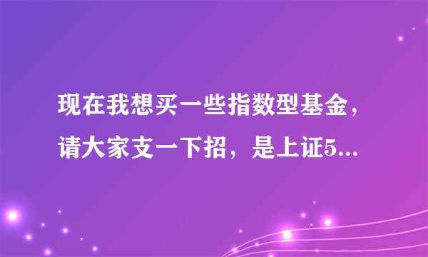 现在我想买一些指数型基金,请大家支一下招,是上证50,还是180,或是深证100,还是300?