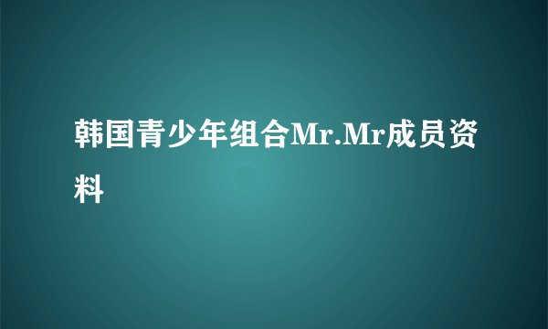 韩国青少年组合Mr.Mr成员资料