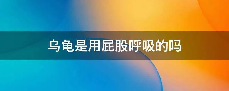 乌龟是用屁股呼吸的吗