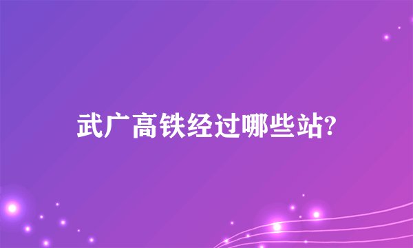 武广高铁经过哪些站?