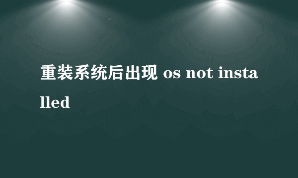 重装系统后出现 os not installed