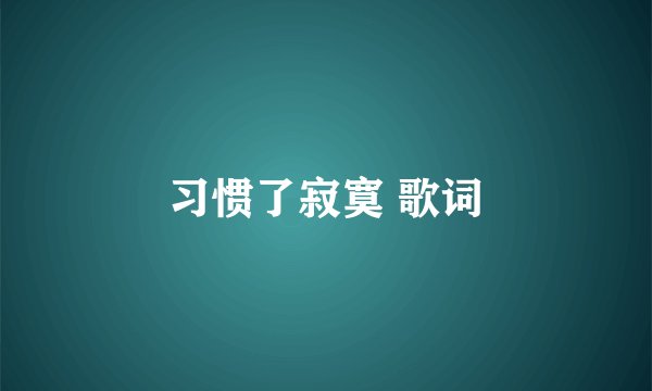 习惯了寂寞 歌词