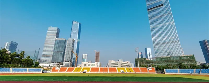 深圳大学什么专业好