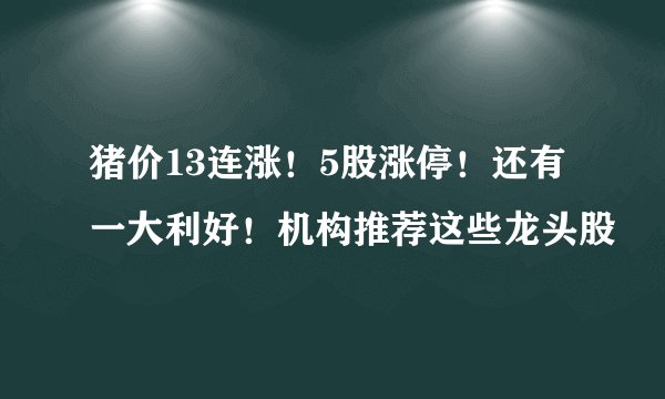 猪价13连涨！5股涨停！还有一大利好！机构推荐这些龙头股