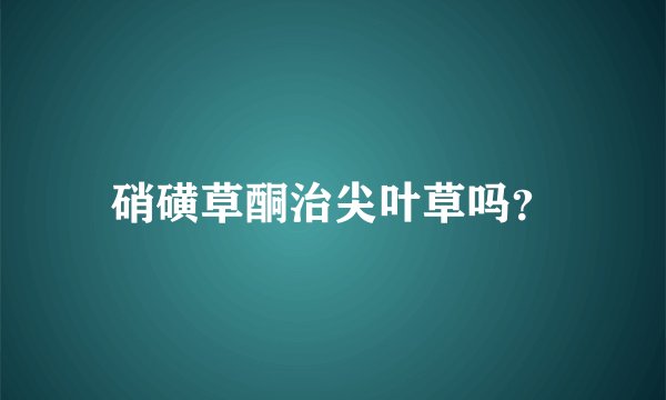 硝磺草酮治尖叶草吗？