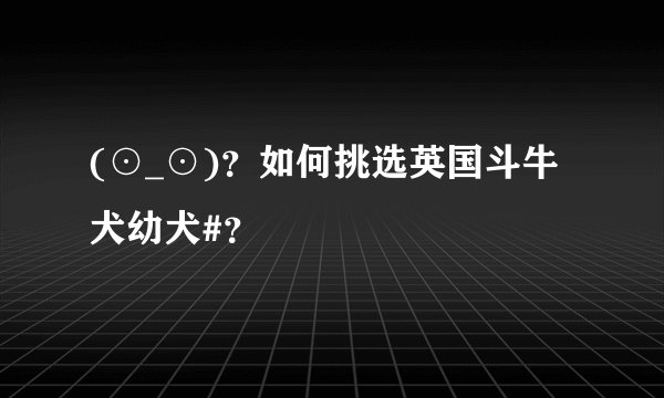 (⊙_⊙)？如何挑选英国斗牛犬幼犬#？