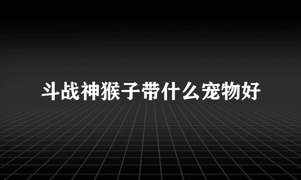 斗战神猴子带什么宠物好